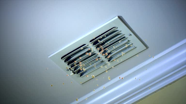 Best Air Duct Cleaning Near Me in Berkley, MI